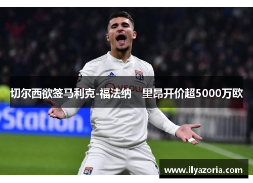 切尔西欲签马利克-福法纳　里昂开价超5000万欧